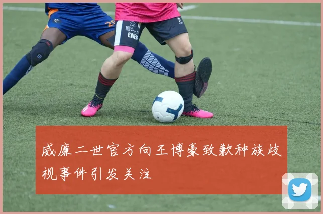 威廉二世官方向王博豪致歉种族歧视事件引发关注