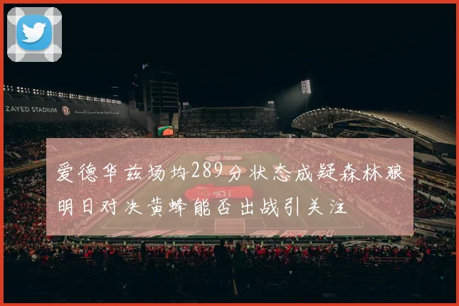 爱德华兹场均289分状态成疑森林狼明日对决黄蜂能否出战引关注