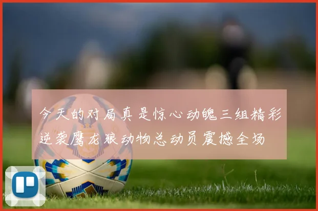 今天的对局真是惊心动魄三组精彩逆袭鹰龙狼动物总动员震撼全场