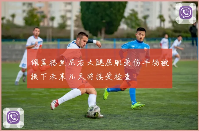 佩莱格里尼右大腿屈肌受伤半场被换下未来几天将接受检查